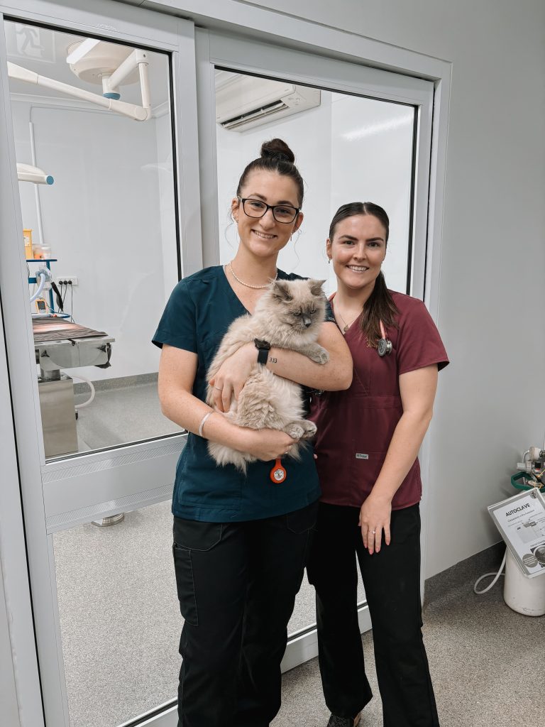 Girraween Veterinary Hospital team